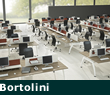 Bortolini